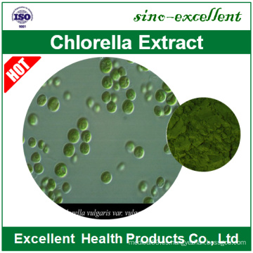 Chlorella orgánico de alta calidad y espirulina en polvo